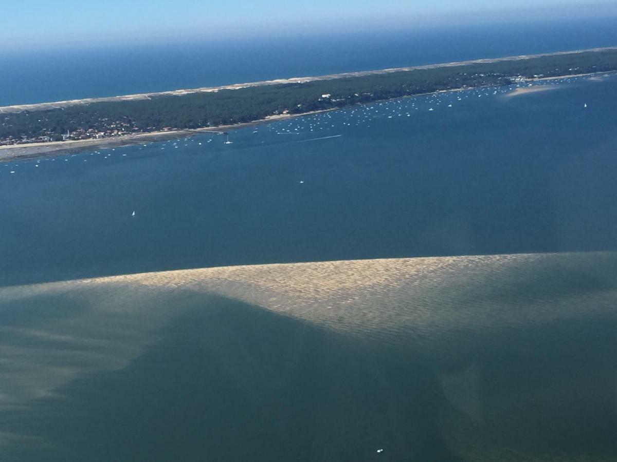 Villa Des T Arcachon Dış mekan fotoğraf